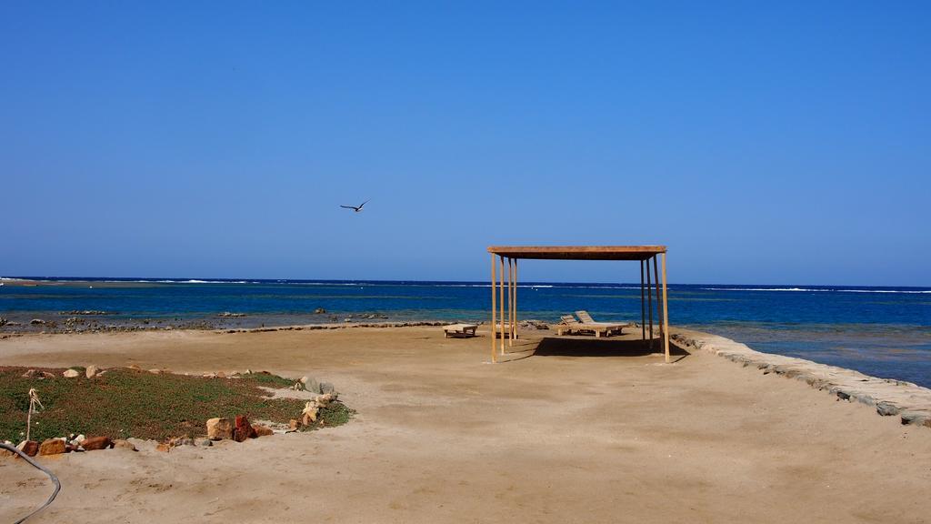 Diving Station - Reef Villa Marsa Alam Eksteriør billede