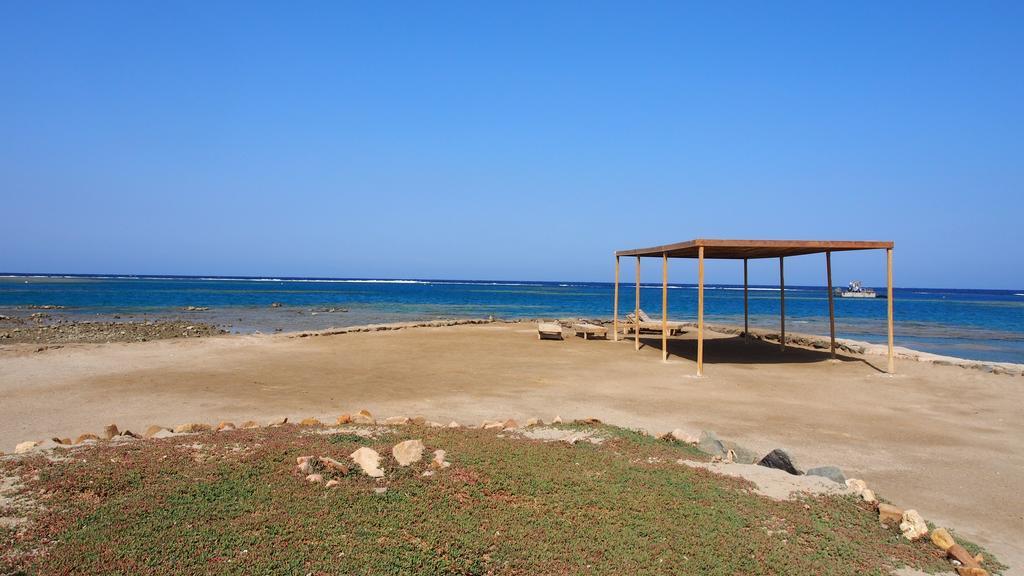 Diving Station - Reef Villa Marsa Alam Eksteriør billede